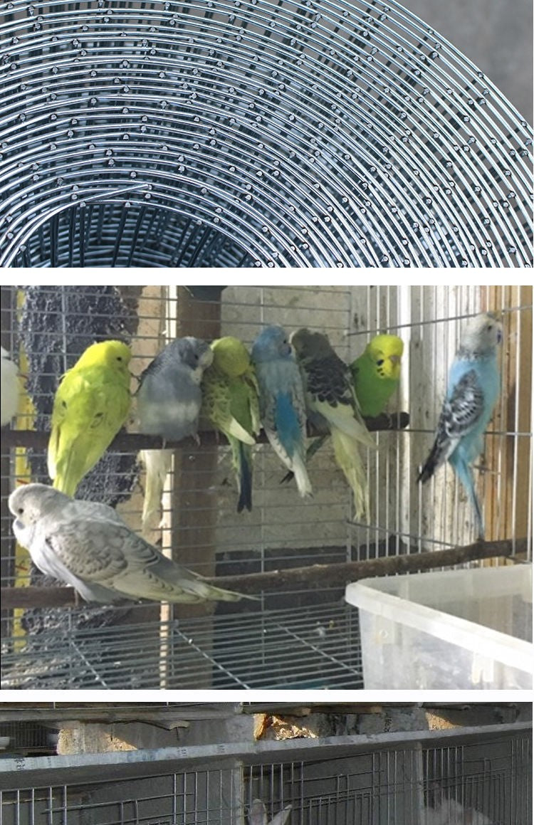 Tela de arame soldado galvanizado de 1 metro (40 polegadas) de largura com furos de 10x100mm, para gaiola de criação doméstica de pássaros, pombos, coelhos, papagaios, codornas e galinhas