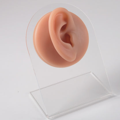 1PC Soft Silicone Simulation 1:1 Ear Nose Navel Nipple Model Practice Piercings Tools Jewelry Display Teaching Tool Accessories