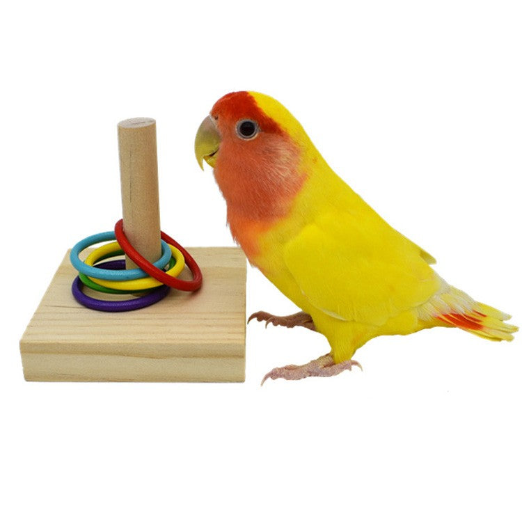 Conjunto de Brinquedos de Treinamento para Pássaros, Quebra-cabeça de Blocos de Madeira para Papagaios, Anéis Plásticos Coloridos, Brinquedo de Mastigar para Treinamento de Inteligência, Suprimentos para Pássaros