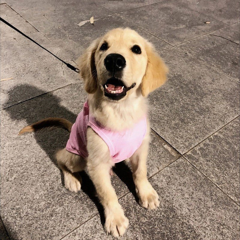 Colete Fofo para Pets Tecido Waffle Respirável Macio e Confortável com Fivela de Tração Adequado para Cães e Gatos na Primavera/Verão