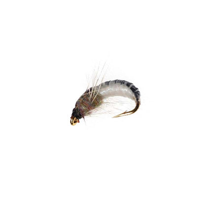 5 Peças Latão Beadhead Pavão Herl Buzzer Fly Isca de Pesca no Gelo Jig Ninfas Larvas para Pesca de Truta Perca Bluegill