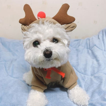 Roupas para Pets Cachorros Moletom com Capuz Fruta Casaco Quente Gato Suéter Fantasia de Inverno para Filhotes Cães de Pequeno Médio Grande Porte e Gatos