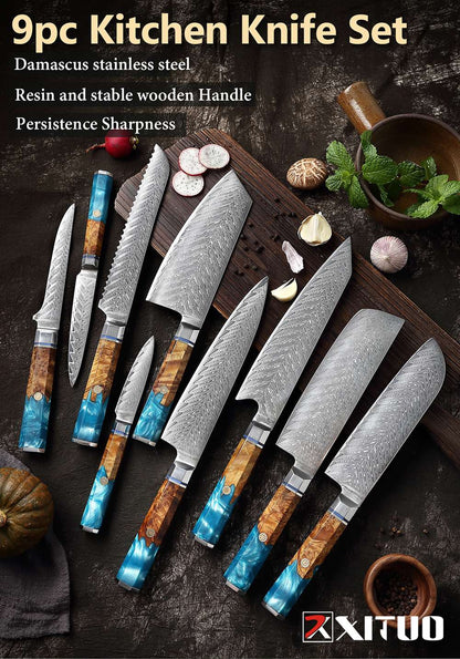 XITUO Damascus Steel Knife Set 1-9PCS Japanese Chef Knife, Santoku, Bread, Utility & Boning Knives-Ultra Sharp, Octagonal Handle