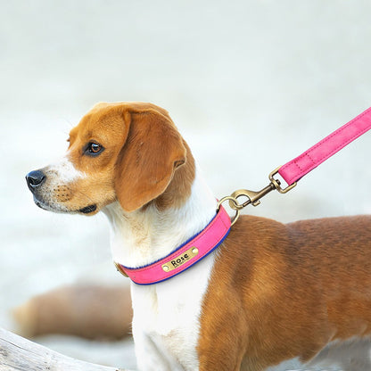 Conjunto Personalizado de Coleira e Guia de Couro para Cães Coleira de Couro Acolchoada Macia para Cães de Pequeno, Médio e Grande Porte com Placa de Identificação Grátis