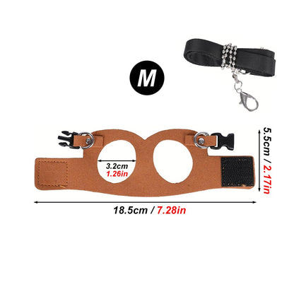 1 Set Pet Squirrel Harness with Leash Adjustable & Breathable Harness Leash Set for Small Animals Outdoor Training Walking