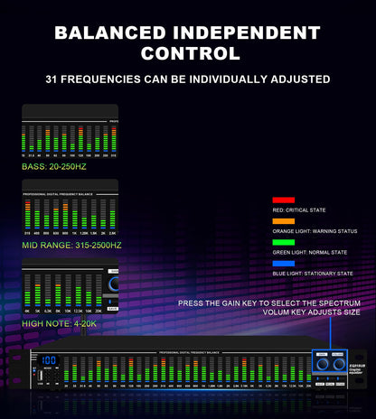 EQ31SUB Digital Equalizer 31 Stage Tuner Professional Stage Performance Noise Reduction Audio Processing
