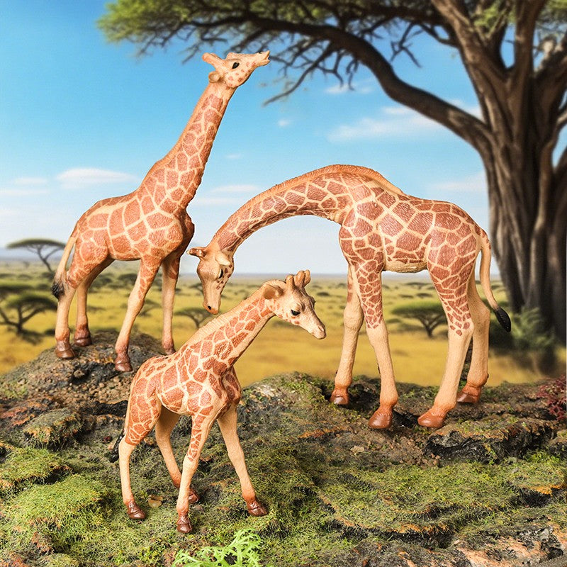 Oenux Zoo África Animais Selvagens Girafa Simulação Modelo Bonecos de Ação PVC Brinquedo Educacional Fofo para Crianças