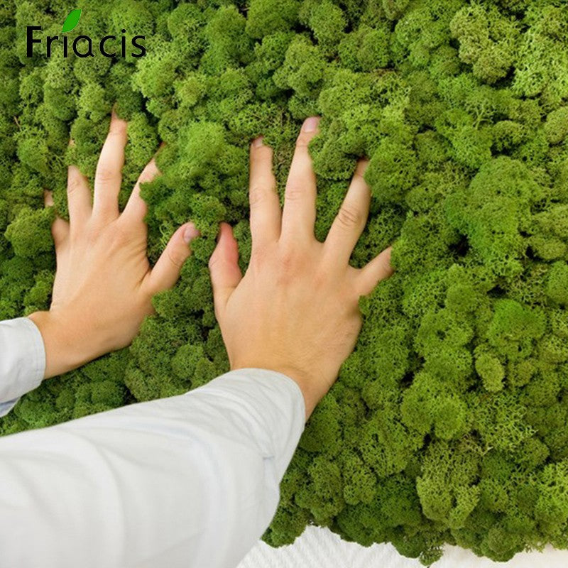 200/1000g Quality Artificial Green Plant Eternal Life Moss Fake Flower Moss Grass Home Living Decorative Wall DIY Micro Landscap