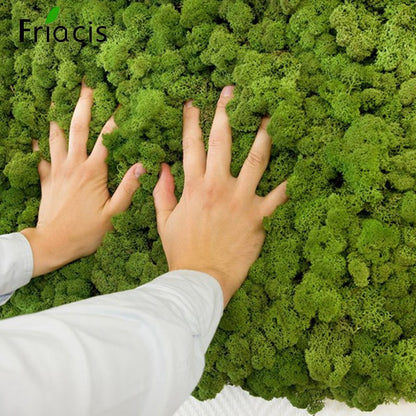 200/1000g Quality Artificial Green Plant Eternal Life Moss Fake Flower Moss Grass Home Living Decorative Wall DIY Micro Landscap