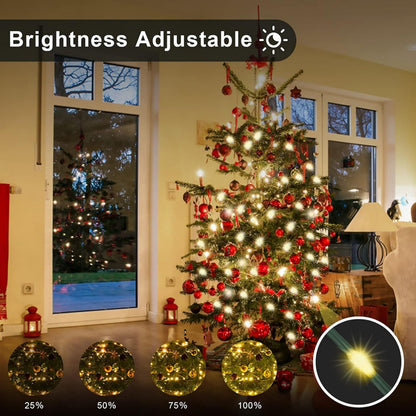 500/1000LEDs Fairy String Lights With Remote Control 50M 100M Christmas Garland Outdoor IP44 Waterproof For Tree Street Wedding