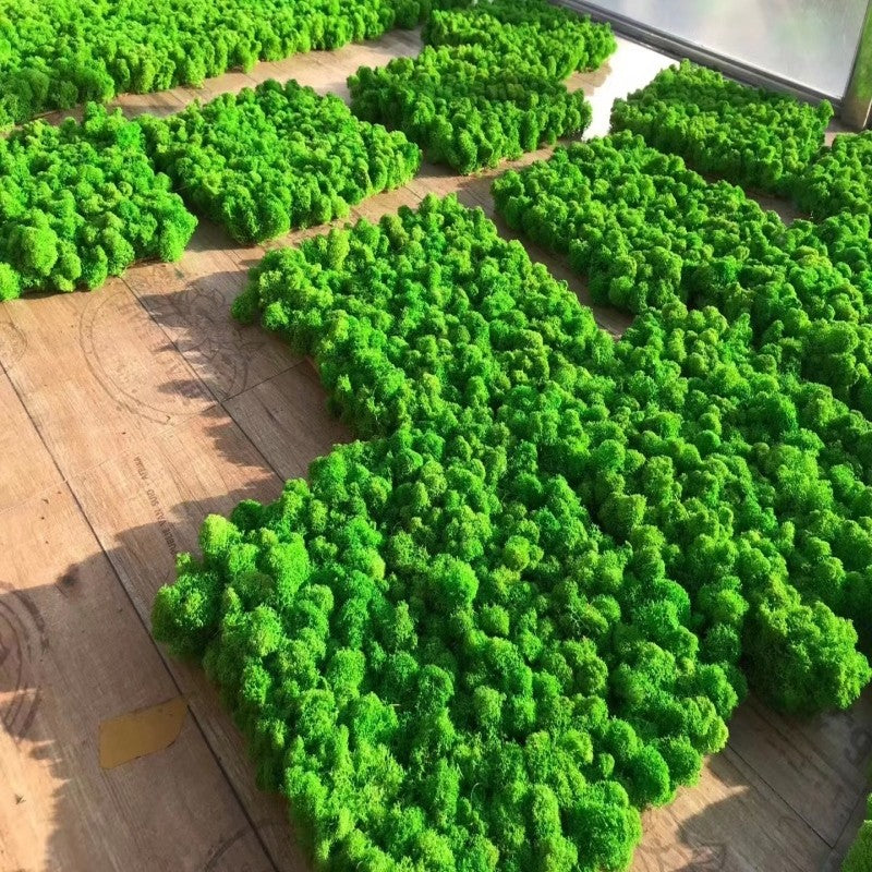 200/1000g Quality Artificial Green Plant Eternal Life Moss Fake Flower Moss Grass Home Living Decorative Wall DIY Micro Landscap