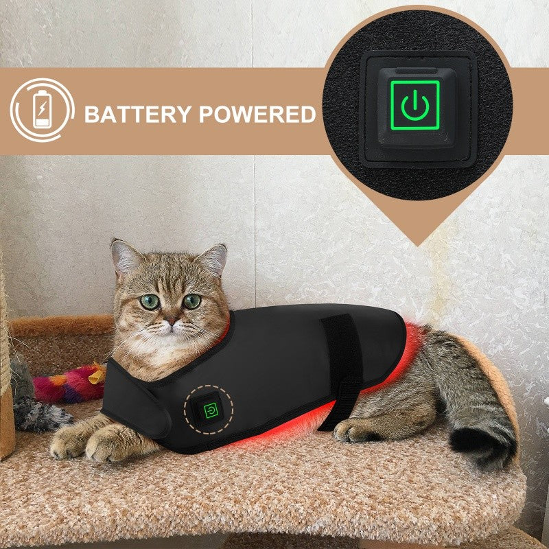 Equipamento de fisioterapia com LED de luz vermelha para uso veterinário, para alívio e redução da dor em cães de estimação.