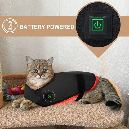Equipamento de fisioterapia com LED de luz vermelha para uso veterinário, para alívio e redução da dor em cães de estimação.