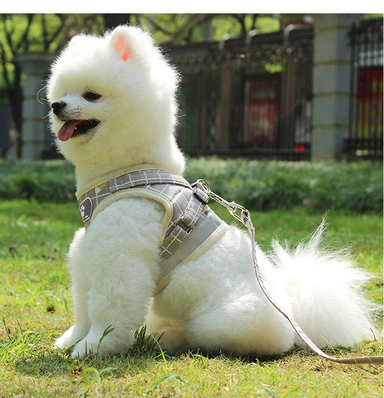 Colete Respirável de Nylon para Cães, Arnês Ajustável e Conjunto de Coleira para Cães Pequenos e Gatos, Coleira Refletiva para Filhotes