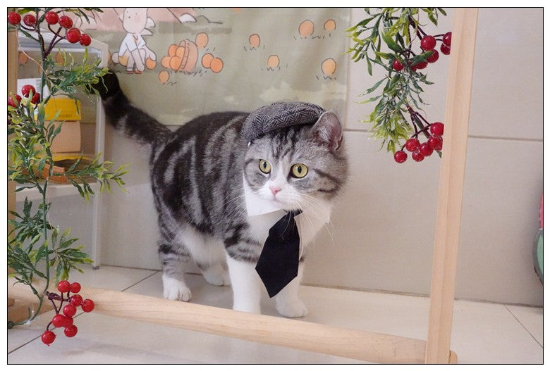 Chapéu Engraçado Para Gatos de Estimação, Boina, Gravata Borboleta, Fantasia de Banho, Gângster Bonito, Adereço de Foto, Fantasia de Halloween Para Animais de Estimação
