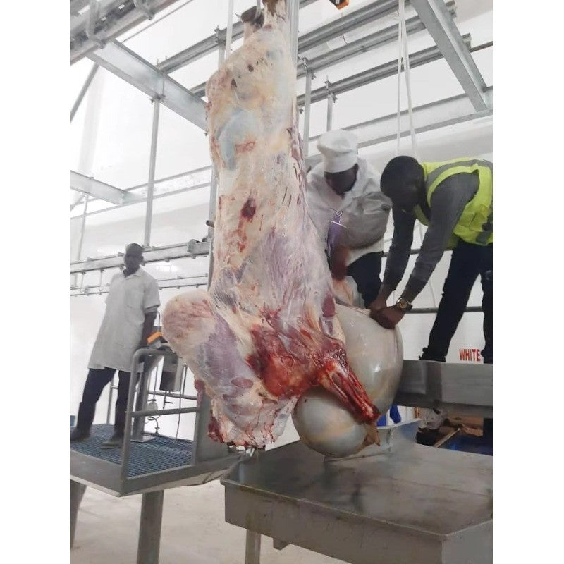 Modern Design Halal Cattle Abattoir Dressing Line Plant Butcher Machinery Beef Slaughterhouse Equipment Cow Slaughter Machine