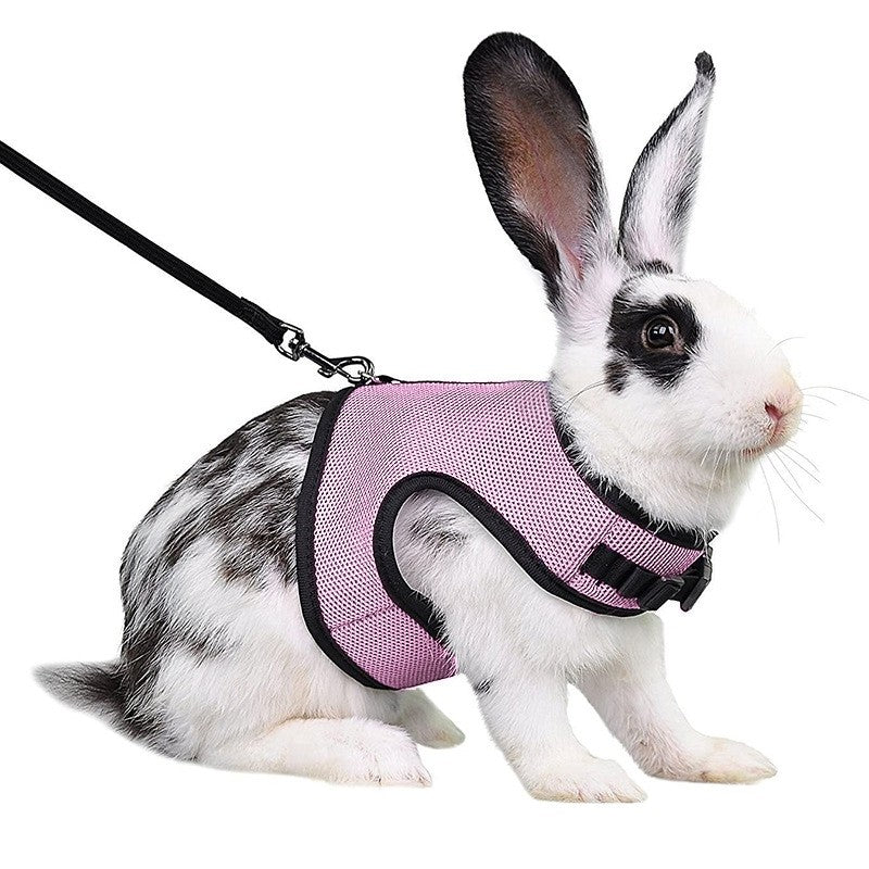 Conjunto de coleira e colete para coelhos, colete respirável para coelhos, furões, porquinhos-da-índia, esquilos, coleira macia e ajustável para animais de estimação pequenos