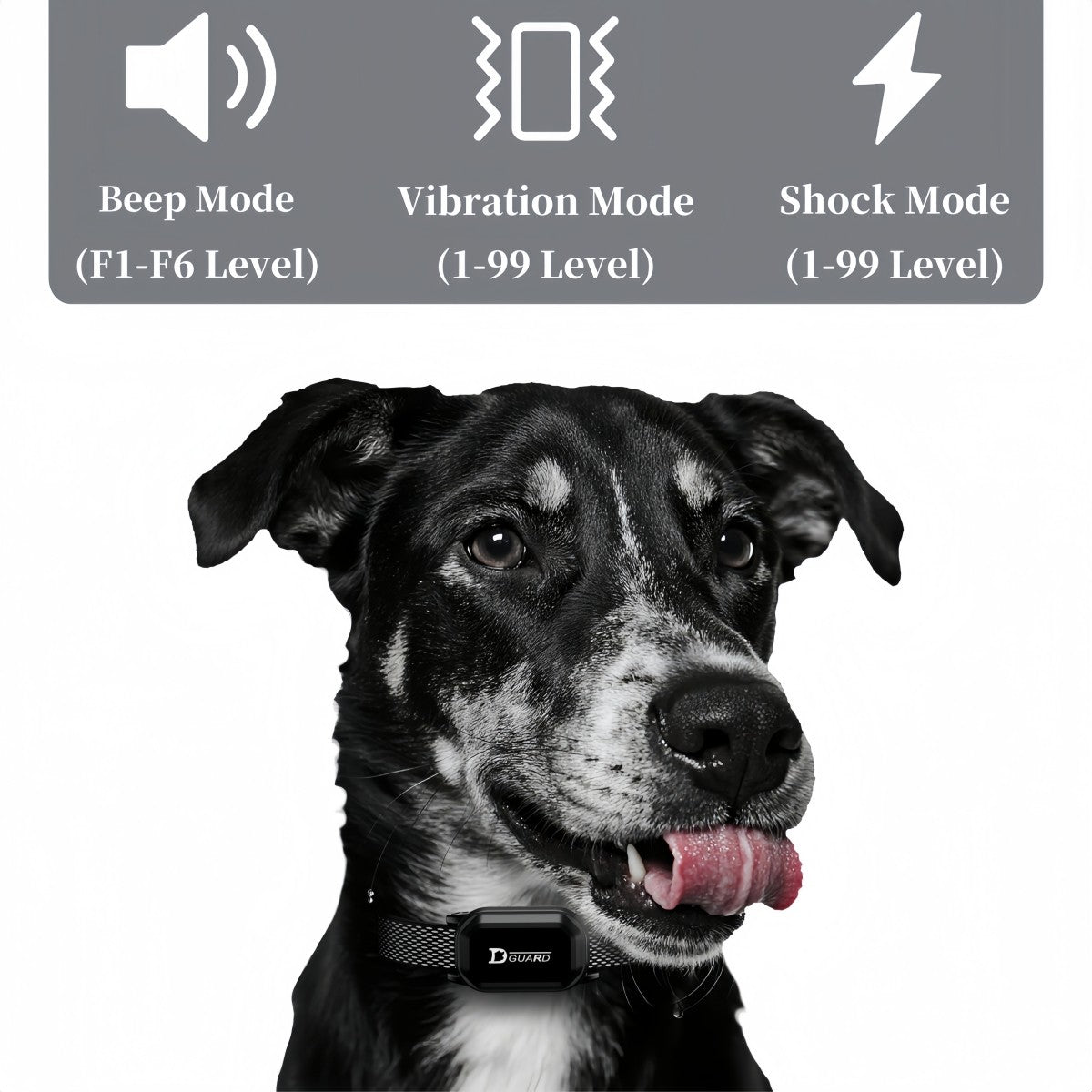 Coleira de Adestramento Digital para Cães 800m à Prova d'Água Recarregável com Controle Remoto para Todos os Tamanhos de Cães com Tela LCD Choque Vibração Som