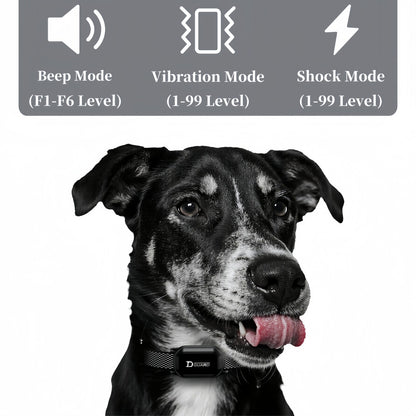 Coleira de Adestramento Digital para Cães 800m à Prova d'Água Recarregável com Controle Remoto para Todos os Tamanhos de Cães com Tela LCD Choque Vibração Som