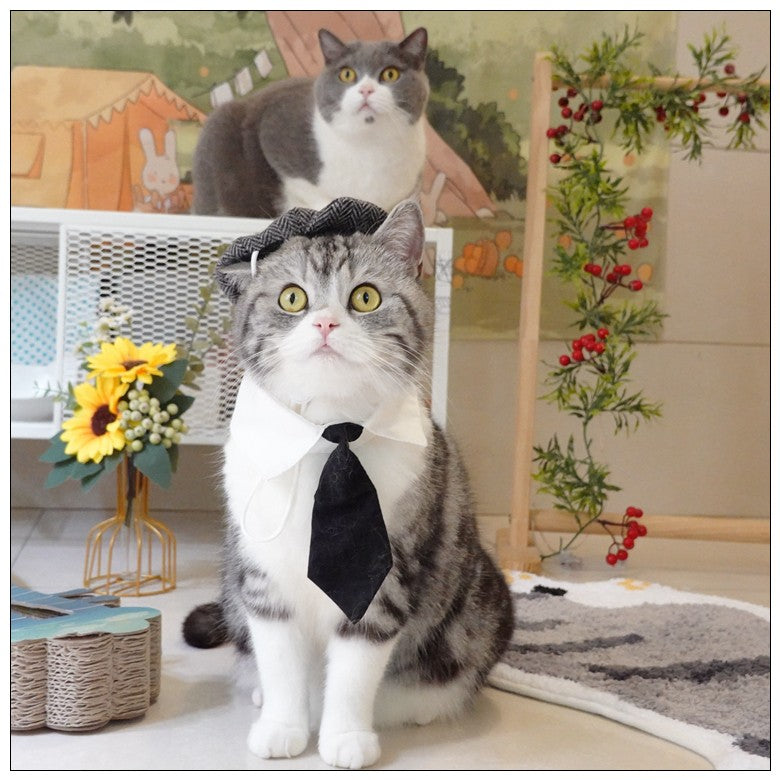 Chapéu Engraçado Para Gatos de Estimação, Boina, Gravata Borboleta, Fantasia de Banho, Gângster Bonito, Adereço de Foto, Fantasia de Halloween Para Animais de Estimação