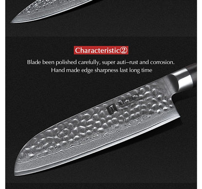 XINZUO 1-5 PCS Kitchen Knives Set VG10 Damascus Stainless Steel Sharp Chef Santoku Nakiri Slicing Paring Knife Pakkawood Handle