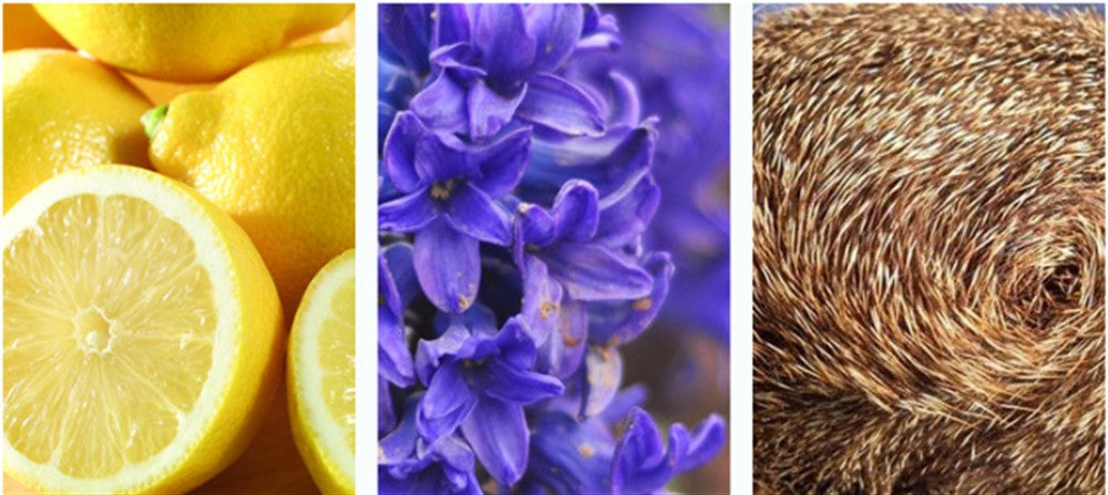 Ocean Scent Perfume Men Cologne 50ml Pheromone Perfumes Hombre Fragrance Spray Attracting Women Parfums Homme Eau De Toilette