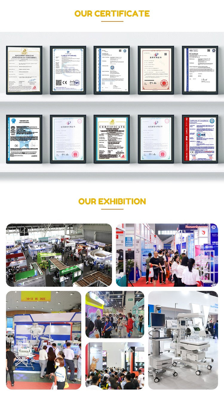 Caixa Secadora Automática de Animais de Estimação EUR PET para Cães e Gatos de Médio e Grande Porte Equipamento de Pet Shop com Baixo Ruído