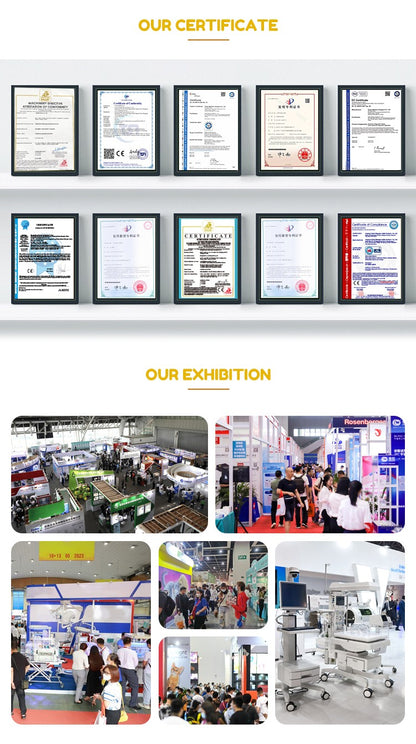 Caixa Secadora Automática de Animais de Estimação EUR PET para Cães e Gatos de Médio e Grande Porte Equipamento de Pet Shop com Baixo Ruído