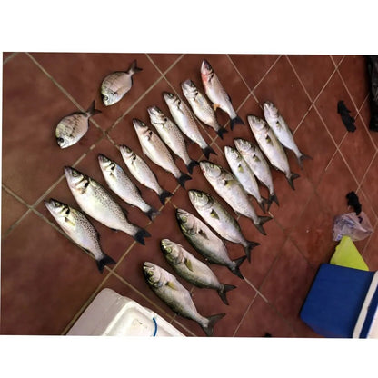SUNMILE 30 unidades de isca de pesca macia de enguia 35 mm Equipamento de pesca Wobblers Iscas de peixe Carpa Leurre Souple Iscas macias