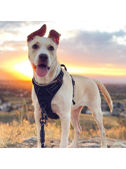 Colete para Cães Antitração com 2 Clip para Guia, Ajustável, Acolchoado Macio, Refletivo Oxford, Não Estrangula, com Alça de Fácil Controle
