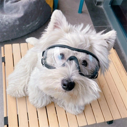 Óculos transparentes para cães de estimação à prova d'água, à prova de vento, protetor solar, resistente a raios UV para cães grandes