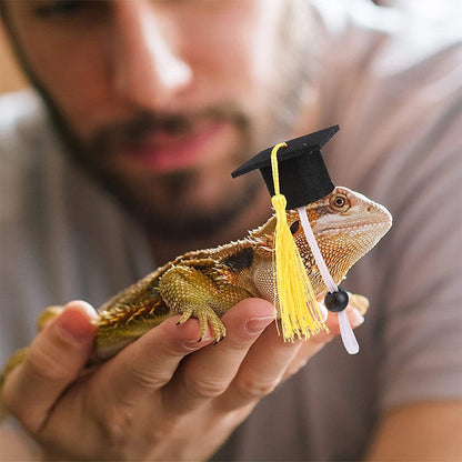 Chapéu de Formatura Pequeno Animal Mini Chapéu de Bacharel com Borla Boné de Estimação Fofo Gravata Borboleta para Gatinho Hamster Acessório de Fantasia para Fotos