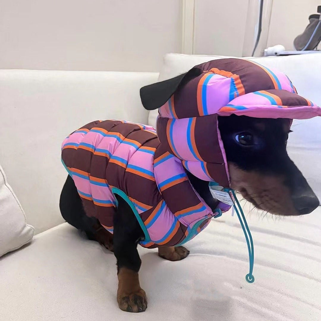 Casaco de Algodão Quente de Inverno Para Cães Pequenos e Médios Filhotes Bichon Teddy Colete Colorido Casaco Jaqueta Roupa de Natal Quente Para Animais de Estimação