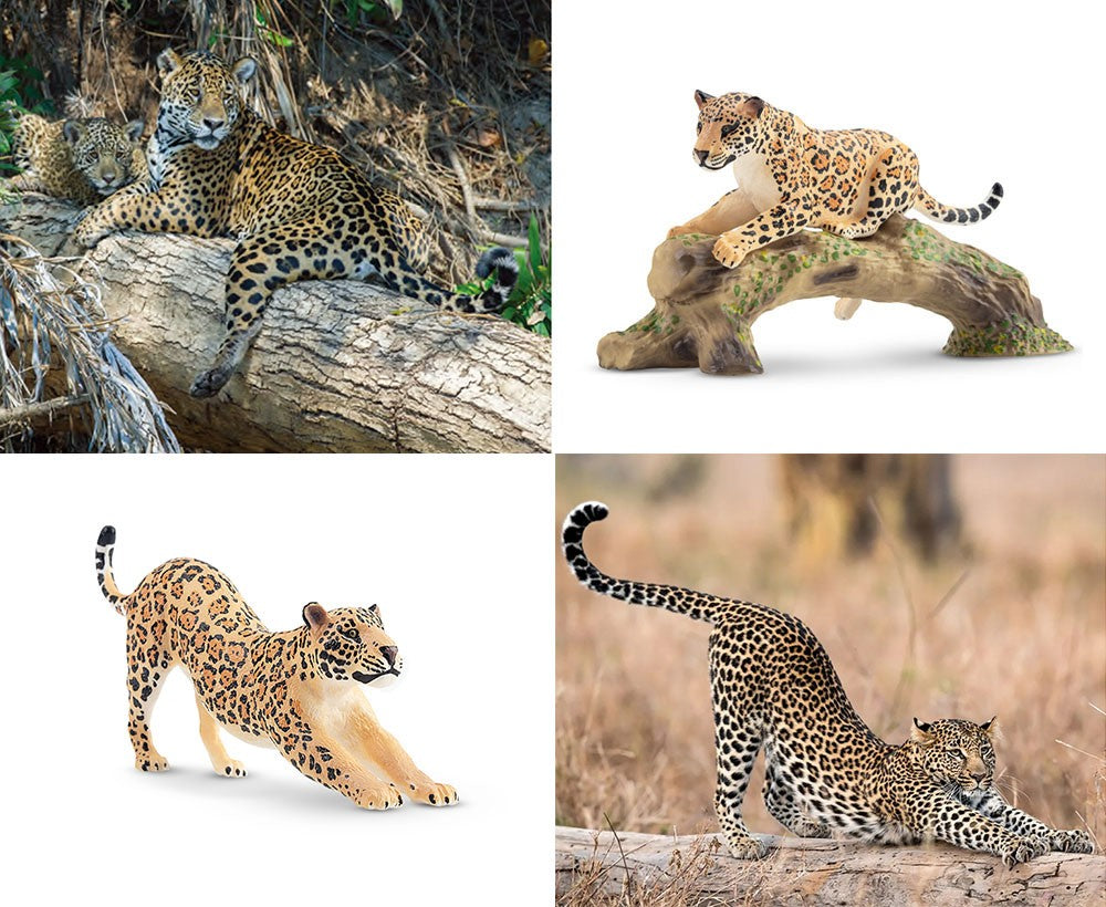 7Pcs Simulation Cheetah Family Wildlife Animal Model Toy Mini Jaguars Figures Dolls Action Figurines Toys for Children Set Gift