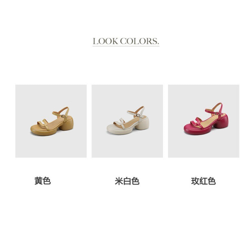 Designer New Women's Sandals 2025 New Fashion High Heels Summer Outdoor Beach Shoes Mary Jane Women Open Toed Thick Heel Sandals