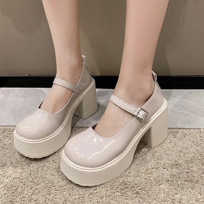 Fashion White Chunky Platform High Heels Women's 2024 New Fall/winter Mary Jane Shoes