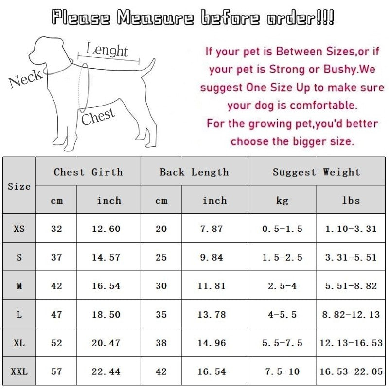 Puppy Bow Knot Dress Set Winter Warm Dog Clothes Pet Christmas Princess Dress Teddy Solid Color Skirt Send Clip