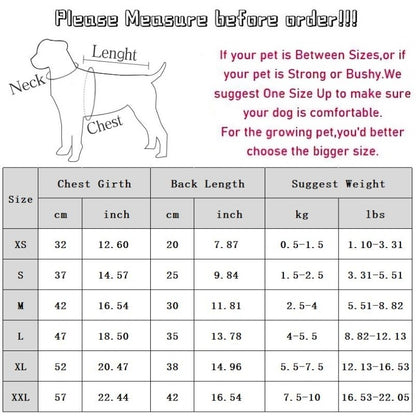 Puppy Bow Knot Dress Set Winter Warm Dog Clothes Pet Christmas Princess Dress Teddy Solid Color Skirt Send Clip