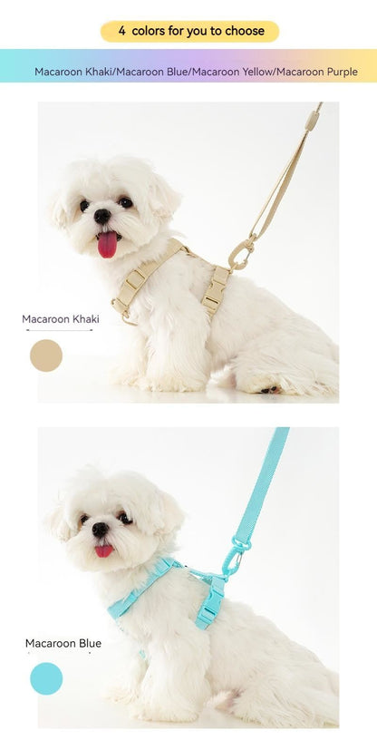 Conjunto de Coleira e Guia Ajustável para Cães Cor Macaron, Acessórios Reflexivos para Cães Pequenos para Filhotes e Gatos, Passeio com Animais de Estimação