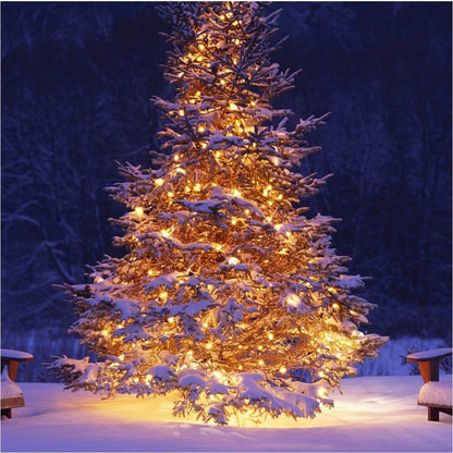 10/20/40/80/160 AA Battery Operated LED String Lights for Xmas Garland Party Wedding Decoration Christmas Flasher Fairy Lights