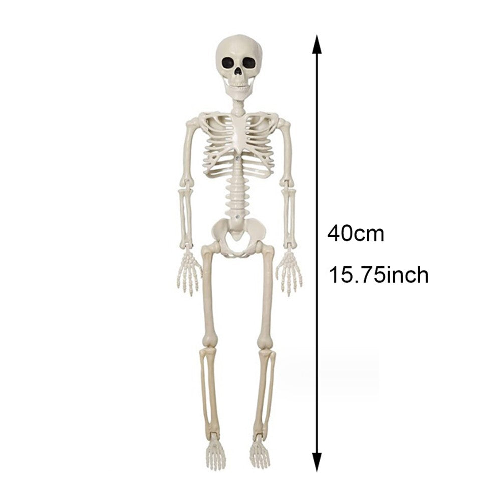 Halloween Decorations Skeleton,Posable Human Shape Skeleton,Halloween Fake Bone Horror Decoration