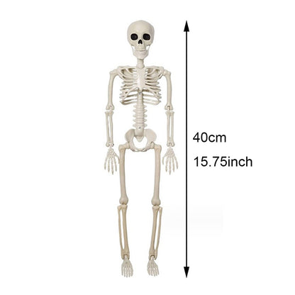 Halloween Decorations Skeleton,Posable Human Shape Skeleton,Halloween Fake Bone Horror Decoration