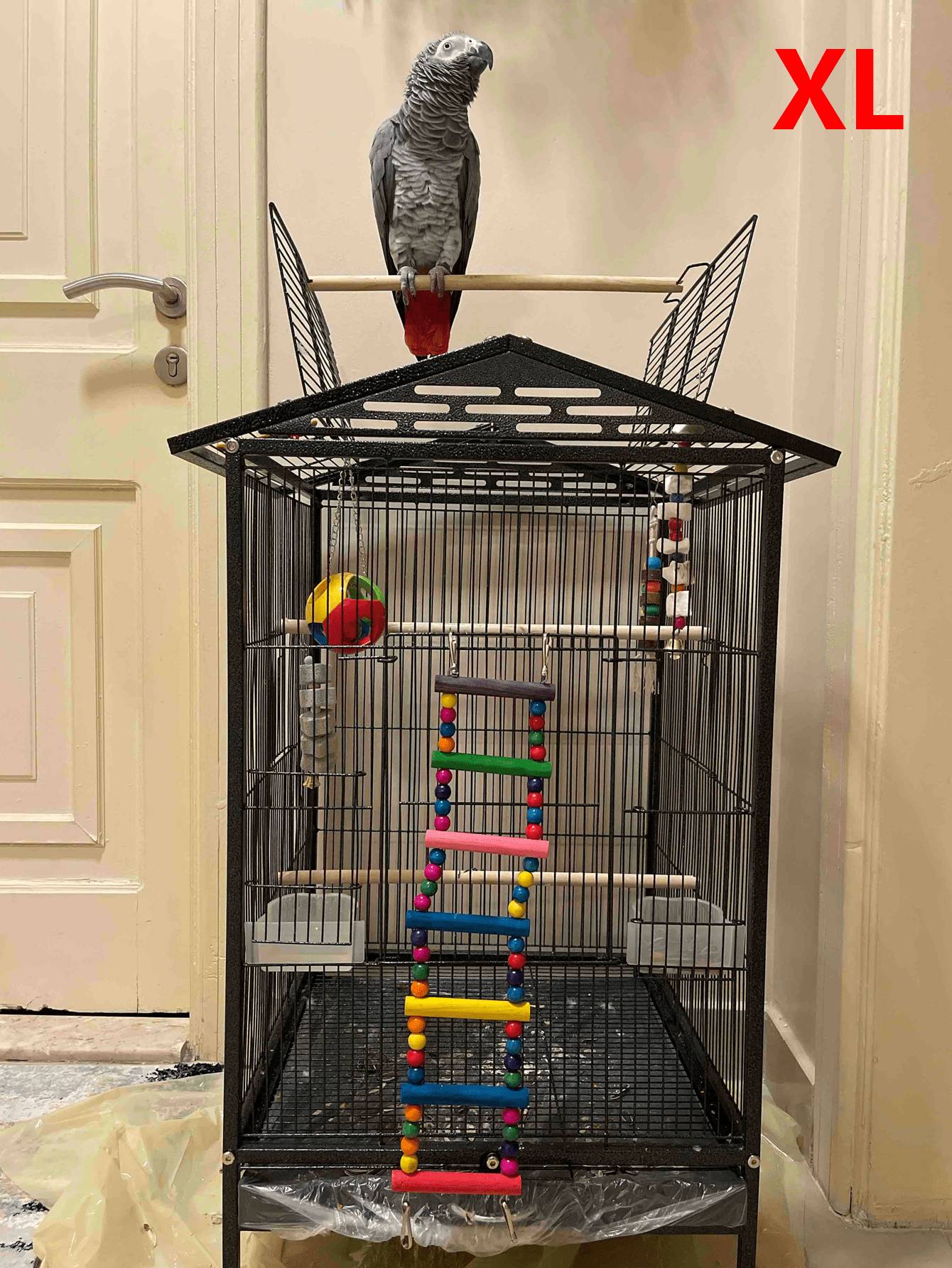 Escada e Balanço Coloridos de Madeira para Pássaros - Habitat Perfeito para Papagaios Pequenos