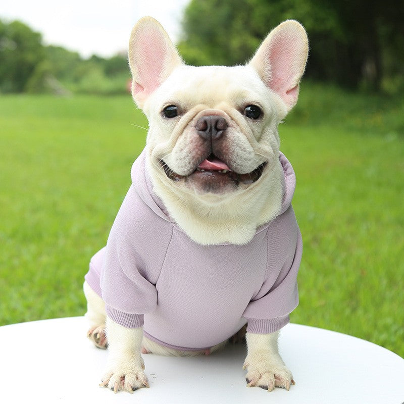 Roupas de Cachorro Fashion Outono e Inverno Roupas para Pequenos Pets Espessamento Quente Cor Sólida Moletom de Duas Pernas com Capuz Produtos Casuais para Pets
