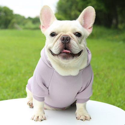 Roupas de Cachorro Fashion Outono e Inverno Roupas para Pequenos Pets Espessamento Quente Cor Sólida Moletom de Duas Pernas com Capuz Produtos Casuais para Pets