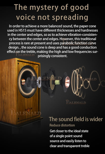 Caixas de som hifi Banlong de alta fidelidade coaxial de 12 polegadas, bookshelf, caixas de som de alta fidelidade, áudio passivo com acabamento em madeira.