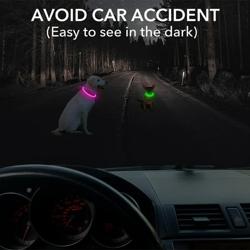 Coleira LED para Cães para Segurança Noturna Coleira Brilhante Recarregável para Pets com 3 Modos Alta Visibilidade para Gatos e Cães em Passeios Noturnos