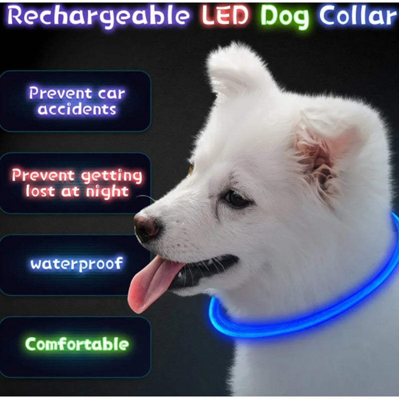Coleira LED para Cães para Segurança Noturna Coleira Brilhante Recarregável para Pets com 3 Modos Alta Visibilidade para Gatos e Cães em Passeios Noturnos