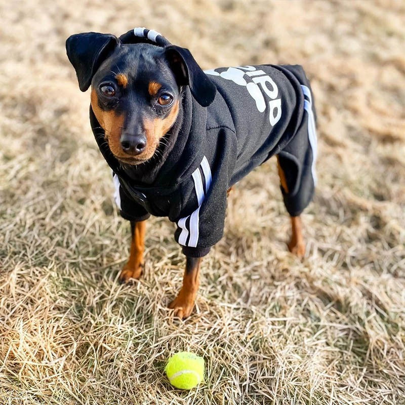 Roupas para animais de estimação Macacão para cães filhotes de buldogue francês Chihuahua Pug Roupas para cães pequenos e médios Roupinhas para filhotes