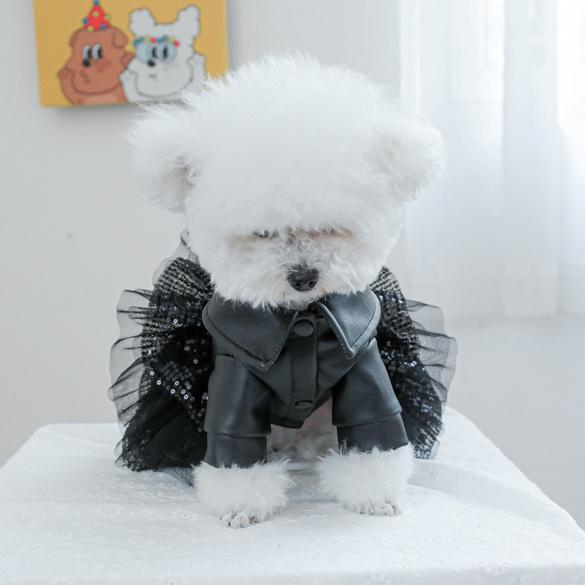 Roupa de Luxo para Cães Roupa de Princesa em Couro Preto Impermeável Outono Inverno para Cães Pequenos e Grandes Menina Menino Casaco XS XL Trajes Elegantes